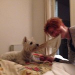 alt="nostri-ex-Westie-commenti-recensioni"