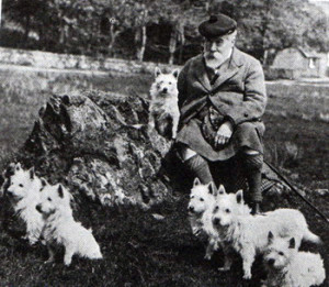 alt="westie-storia-standard-carattere"