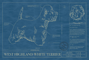 alt="westie-standard-carattere"