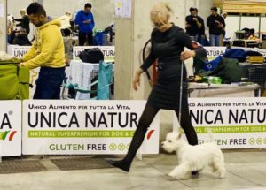 alt:"west-highland-white-terrier"